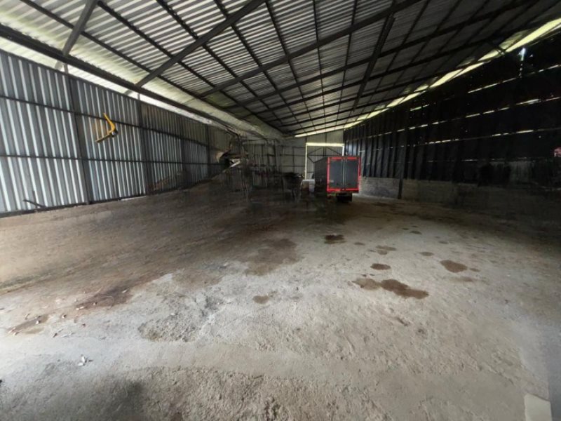 Bodega para el arriendo en Caldas el codigo es 16930 Foto 5