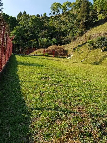 Apartamento para el arriendo en Caldas el codigo es 17687 Foto 10