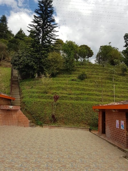 Apartamento para el arriendo en Caldas el codigo es 17687 Foto 16
