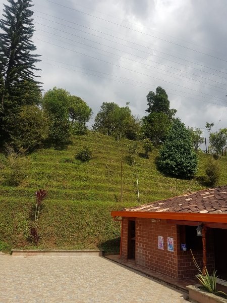 Apartamento para el arriendo en Caldas el codigo es 17687 Foto 18