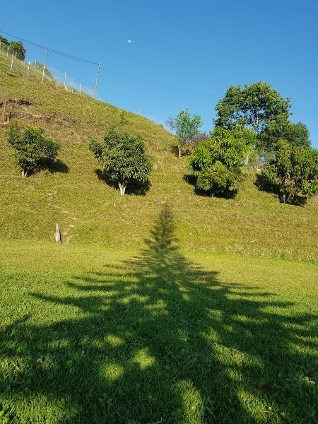 Apartamento para el arriendo en Caldas el codigo es 17687 Foto 20